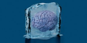 brain-ice2.jpg