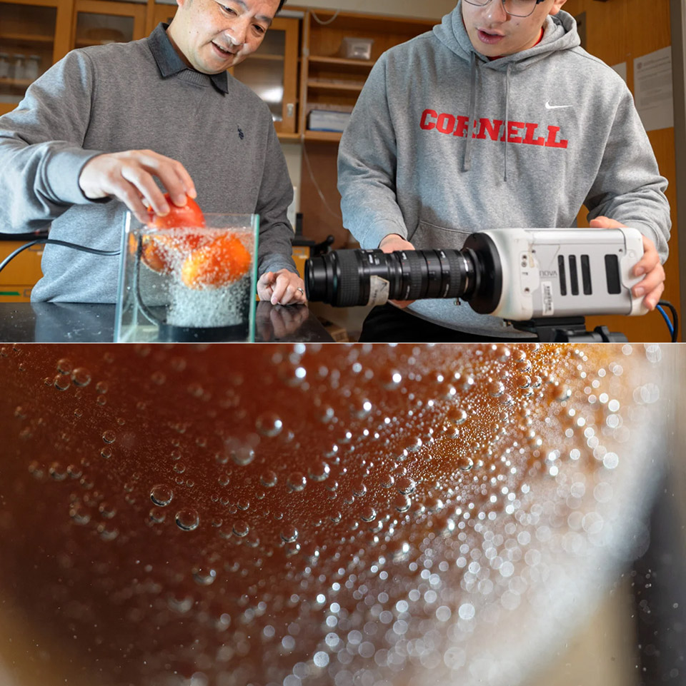 cornell-university-bubble-sound-waves-clean-produce.jpg