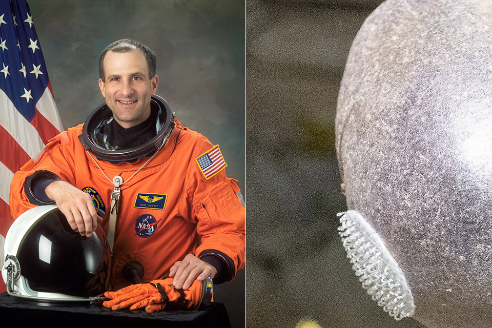 nasa-astronaut-don-pettit-spudnik-1-alien-purple-potato-space.jpg