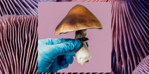 psilocybin-med.jpg