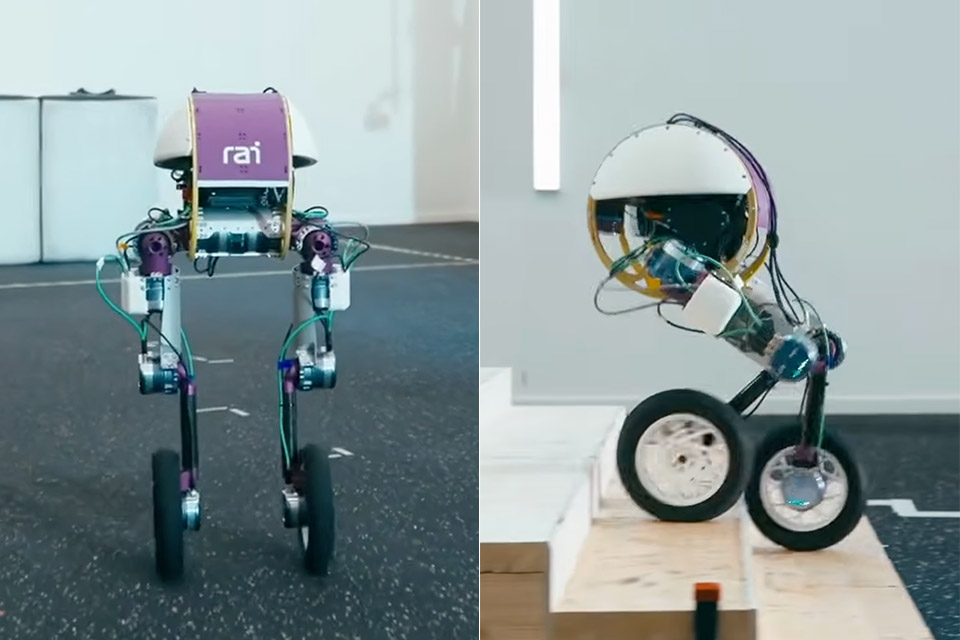 rai-institute-roadrunner-robot-test.jpg