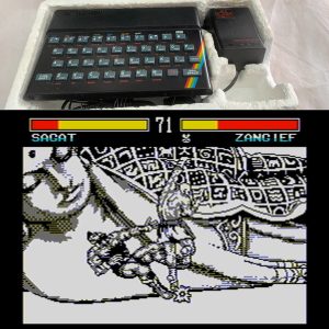 street-fighter-port-zx-spectrum-sweetfightin2.jpg