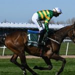Grand National 2026 sweepstake kit: Download your free printable pack