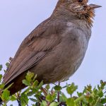 The Download: turning down human noise, and LA’s stunning subway upgrade