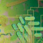 Early life may have breathed oxygen earlier than believed