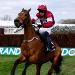 Grand National horse Gold Dancer put down after winning race with broken back