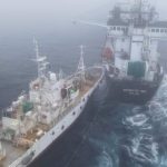 Activist ship’s collision with krill trawler off Antarctica called “deliberate attack”