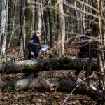 Falling tree kills 3, including 10-month-old, during Easter egg hunt in Germany