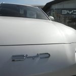 Chinese electric vehicles pull into the lead