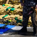 Police dog named Hulk sniffs out 48 tons of marijuana in record bust in Brazil
