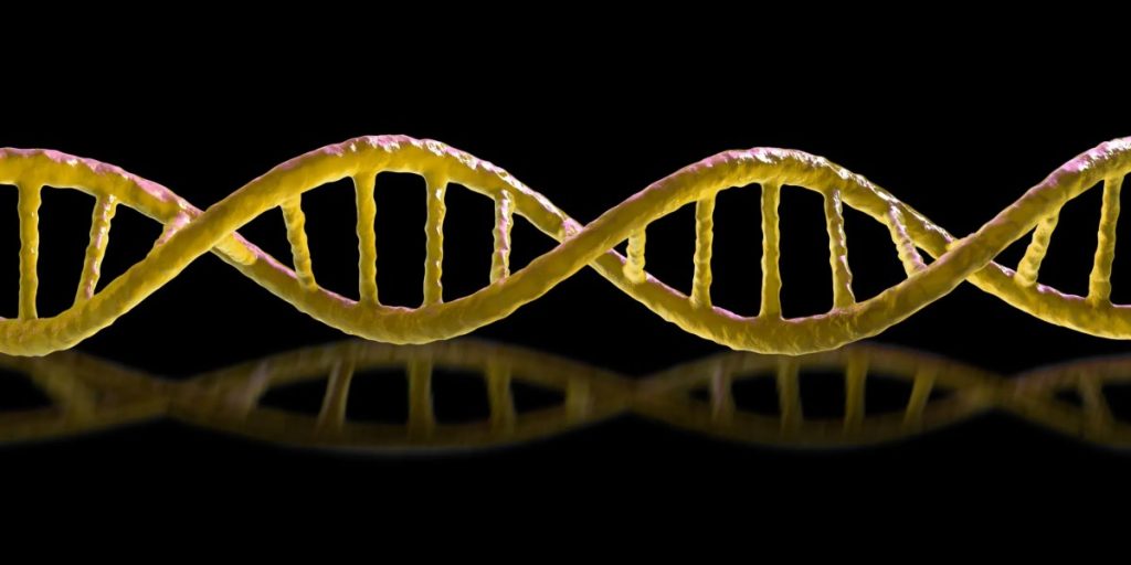 mirror-dna.webp.jpeg