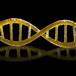 The Download: murderous ‘mirror’ bacteria, and Chinese workers fighting AI doubles