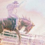 Why opinion on AI is so divided