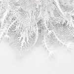 The Download: an exclusive Jeff VanderMeer story and AI models too scary to release