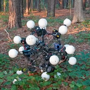 20-legged-argus-robot-symmetry.jpg