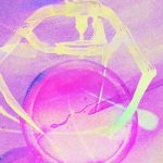 What’s next for IVF