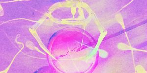 260505_IVF_heroNEW.jpg