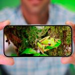 Google's Pixel 9 trumps the Pixel 10a to become your top budget option at a huge $350 discount