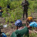 Second Ebola treatment center set on fire in epicenter of disease’s outbreak