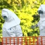 Details on Ebola outbreak as Americans urged to avoid travel to Congo, Uganda, South Sudan
