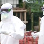 Ebola outbreak declared a global health emergency by WHO