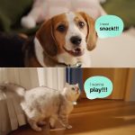 First Look at Pettichat, the Qwen-Powered AI Collar That Puts Words to Your Pet’s Barks and Meows