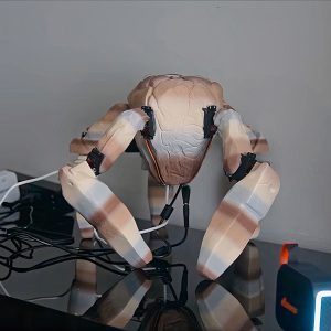 diy-custom-built-rocky-project-hail-mary-robot.jpg