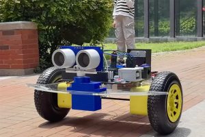 giant-arduino-tortoise-bot-robot.jpg