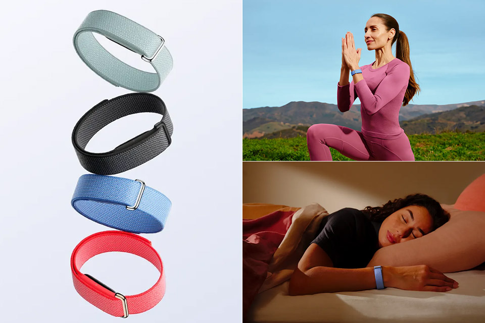 google-fitbit-air-wearable.jpg