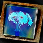 Lippmann Plate Photography Demonstrate Standing Waves That Remember Every Hue