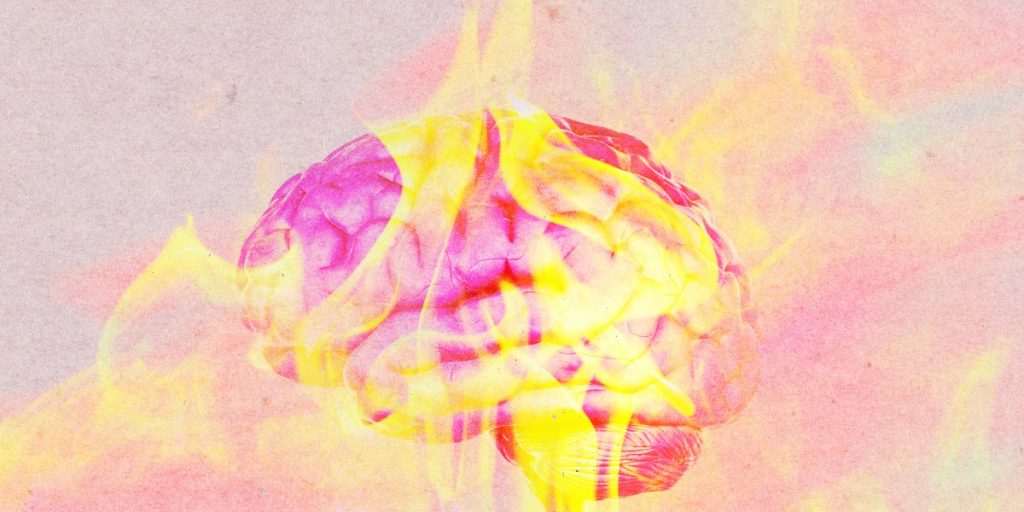 260623_checkup_hotbrains.jpg