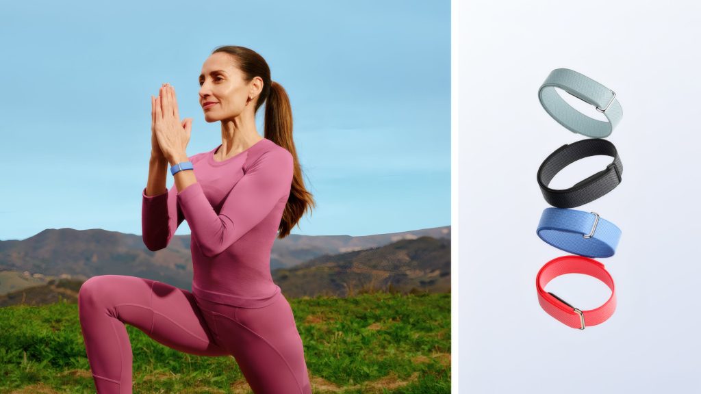 Google-just-made-the-Fitbit-Air-even-cheaper-without-cutting-a-cent-off-the-price.jpg