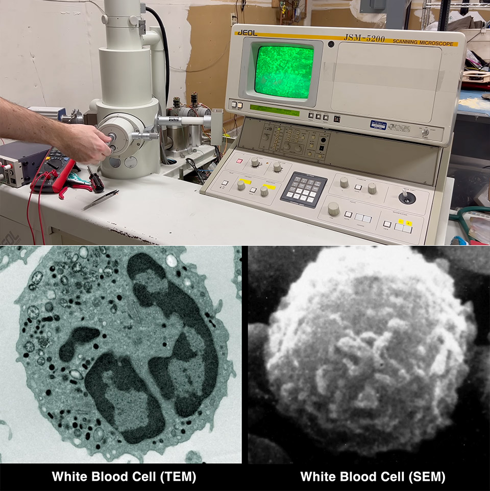 scanning-electron-microscope-to-tem-transmission-project-mod.jpg