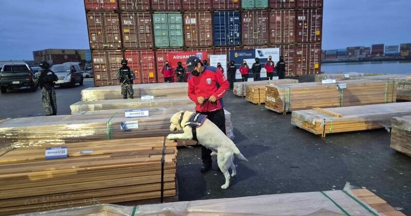 sniffer-dog-1-baja.jpg