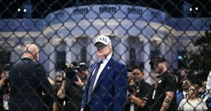 ufctrump.jpg