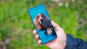 Samsung-Galaxy-S26-Ultras-camera-vs-Pets-Ultimate-camera-challenge.jpg