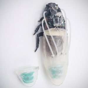 amphibious-cyborg-cockroaches-diving-3d-printed-oxygen-suit.jpg