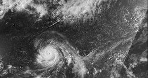 ap26186710141611.jpg