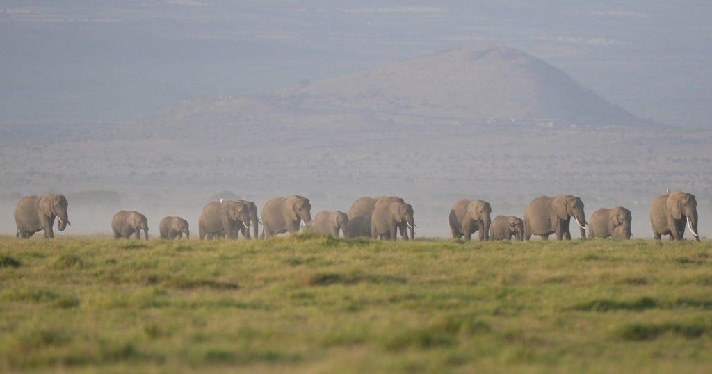 ap26209685373203.jpg