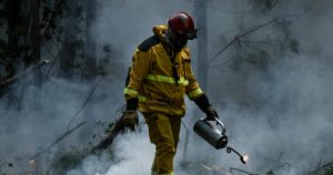 france-wildfire-2287607089.jpg