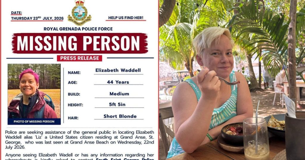 missingpersonlizwaddell.jpg