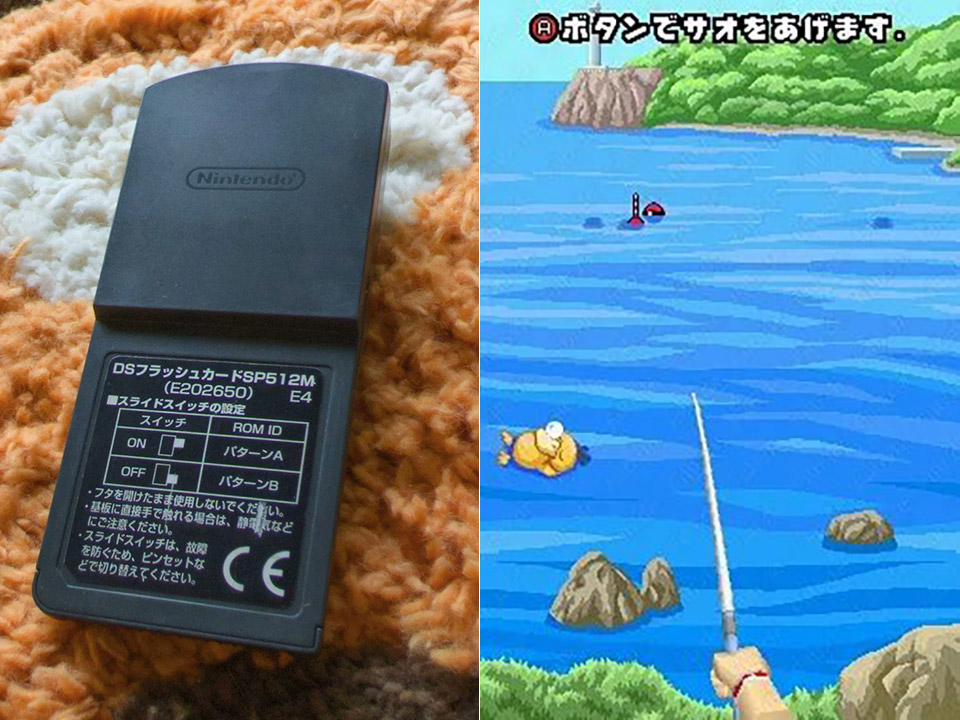 pokemon-pokepark-fishing-contest-ds-lost-cartridge.jpg