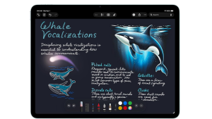 All-rounder-iPad-Air-M4-is-a-tablet-bargain-worth-checking-out.jpg