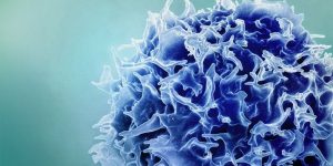 MIT_Immune-remodeling_Tcell-01-press.jpg