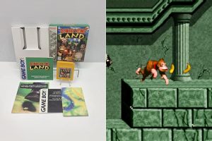 game-boy-donkey-kong-land-pc-port.jpg