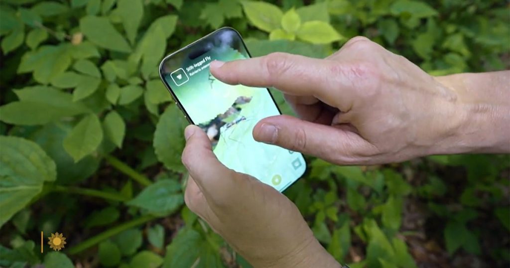 inaturalist-app-1920.jpg