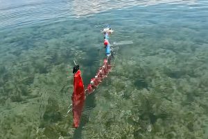 length-scalabe-fish-robot-scafi-nyu.jpg