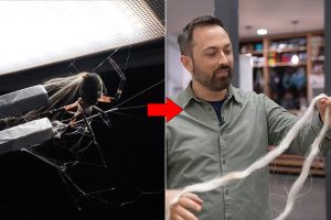 vertasium-spider-web-silk-strength-test.jpg