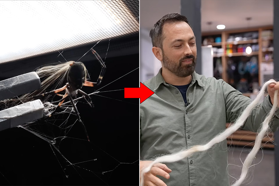 vertasium-spider-web-silk-strength-test.jpg