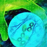 The specter of AI-enabled bioweapons is a wake-up call for biotech